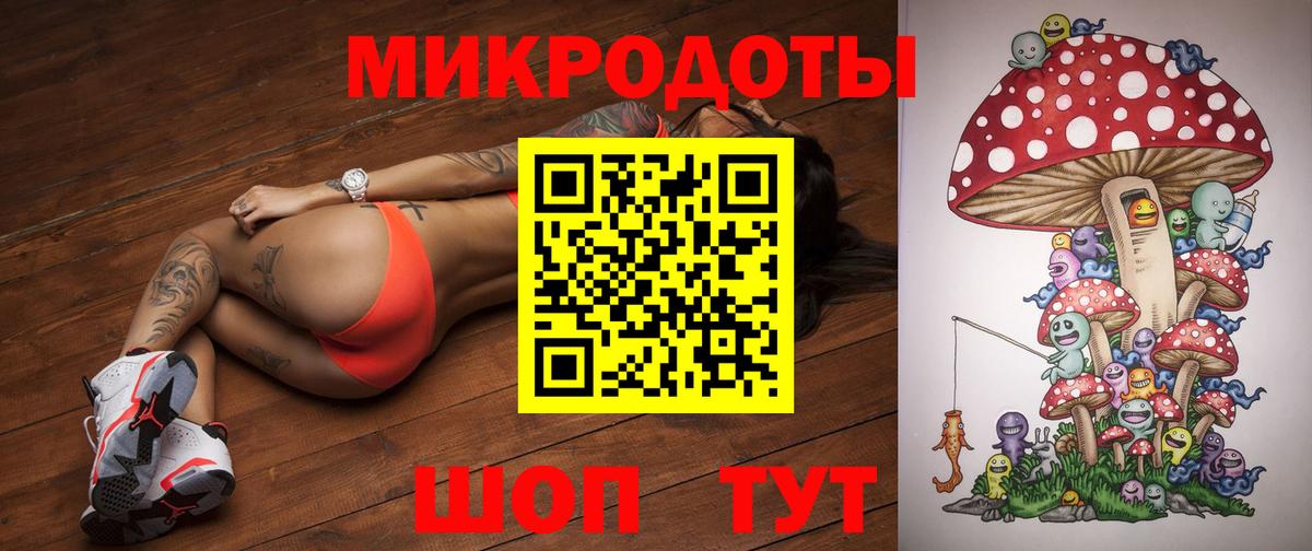 Псилоцибиновые грибы Cubensis Тобольск