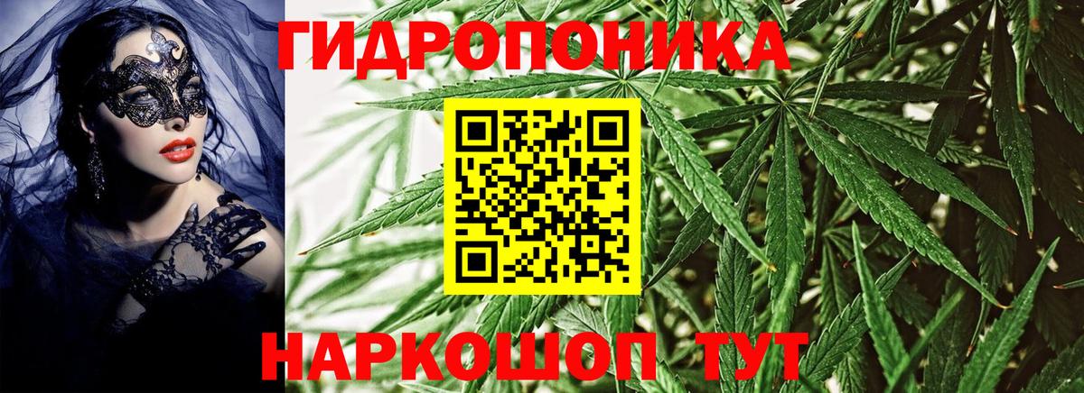 Бошки марихуана гибрид  Конопля план  Тобольск  Вход с VPN  Марихуана ГИДРОПОН 